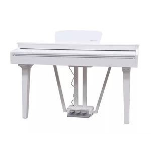 ECHORD GP10 WHITE PIANO CODA DIGITALE